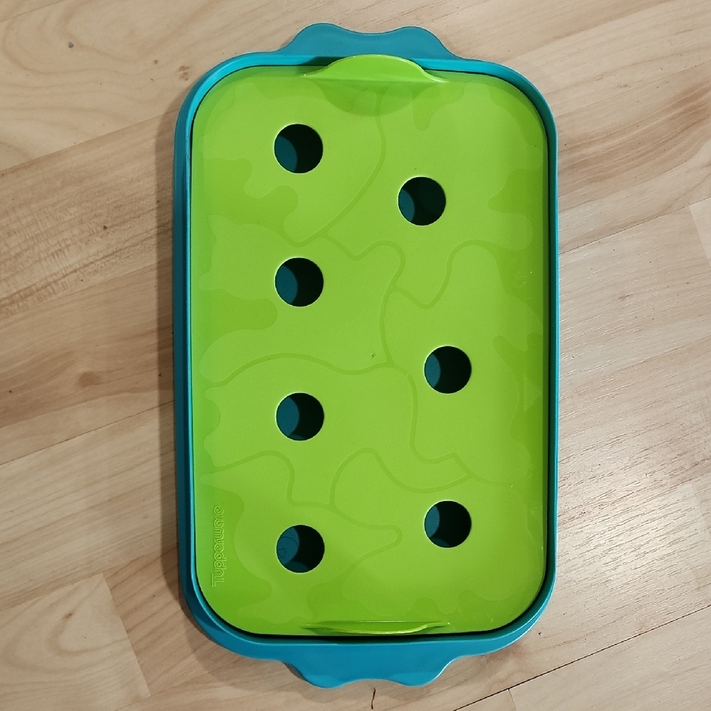 Tupperware Green and Blue Baking Tray